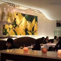 Wattle Tokyo - 店内はワトルの花の黄色モチーフ