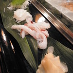 だるまいか刺し・生ゲソ刺し