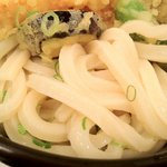 極浄うどん うだま - 