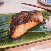 圓 弁柄 渋谷ストリーム - 