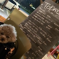 キハチ 青山本店 - 