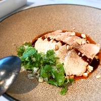 CINA New Modern Chinese - 