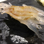 晶 - 10貫目 白魚の軍艦