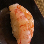 日本橋蛎殻町 すぎた - 縞海老