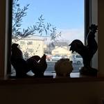 からあげ&弁当 トリとん - 