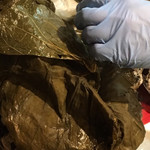 中国菜 火ノ鳥 - 