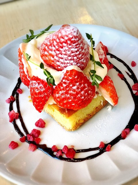 ケーキがおすすめ 姫路で人気のスイーツカフェ8選 食べログまとめ