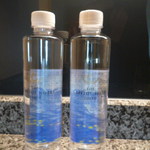 ザ・キャピトルホテル 東急 - 