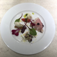 ダルマット 六本木ヒルズ店 - 