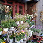 アルタムーラ - 歩いて数分の花屋さん