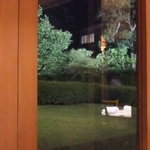 いづみ荘 - ライトアップされた庭