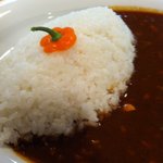 スマイルキッチン - 日本一辛い激辛カレー！神辛　８００円