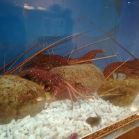 中納言 大阪駅前第3ビル店 - 