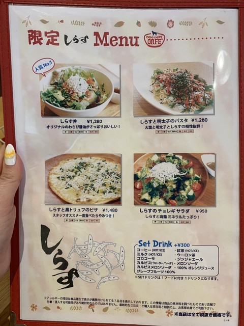 わんこok 江の島で遊んだ後はわんことdog Deptへ By Gizuclo 15 ドッグ デプト プラス カフェ 湘南江ノ島店 Dog Dept Cafe 旧店名 ドッグガーデンカフェ 湘南海岸公園 カフェ 喫茶 その他 食べログ わんこok 江の島で遊んだ後はわんことdog Deptへ By Gizuclo 15 ドッグ デプト プラス カフェ 湘南江ノ島店 Dog Dept Cafe 旧店名 ドッグガーデンカフェ 湘南海岸公園 カフェ 喫茶 その他 食べログ