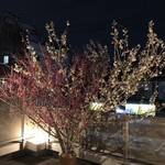 旬菜 おぐら家 - 梅