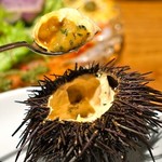 魚とワインはなたれThe Fishand Oysters - 