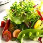 有機蔬菜的綠色沙拉