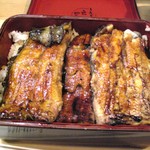 Unagi Irokawa - 