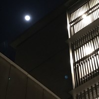 焼肉矢澤 京都 - 