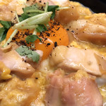 京の鳥どころ 八起庵 - 京赤地鶏の親子丼