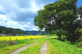 Okometsukasa Fumiya - 日本の原風景が残る京北（けいほく）