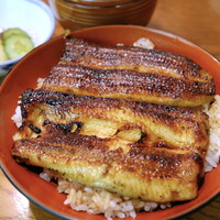 吉寅 -  吉寅 -