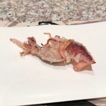 天麩羅 巽 - 蛍烏賊