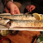 まるう商店 - まるう商店・だつ塩焼き