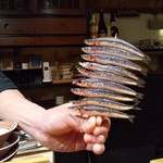 鮨匠 のむら - ピッカピカのキビナゴちゃん