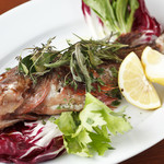 Cook today's fresh fish your favorite way