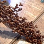 清澄の里 粟 - 黍