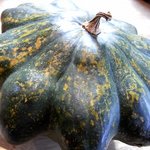 清澄の里 粟 - カボチャ