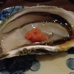 芝浜 - サロマ湖産の牡蠣