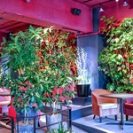 グリーン ハウス ヴァルト - 店内