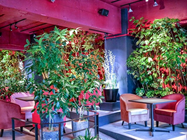 グリーン ハウス ヴァルト Green House Wald 三ノ宮 ｊｒ カフェ 食べログ