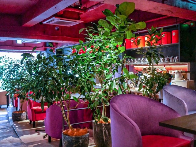 グリーン ハウス ヴァルト Green House Wald 三ノ宮 ｊｒ カフェ 食べログ