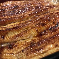 恵比寿 鰻 松川 - 鰻アップ