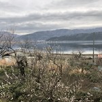 徳山鮓 - 梅の花と余呉湖と曇り空。
