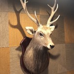 徳山鮓 - 鹿の剥製。キリッとした男前。