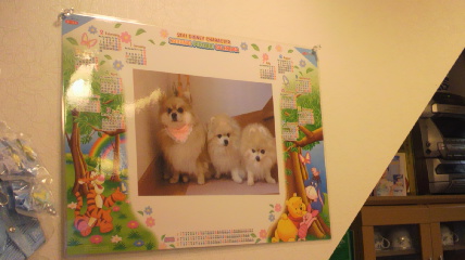 ドッグカフェリオン（ＤｏｇＣａｆｅ　リオン） - 酒田（その他）の写真