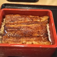 満寿家 - うな重(特上) 4,800円 ♪