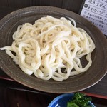 Teuchi Udon Tarappe - 「日替わり定食」（600円）のもりうどん