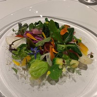 レフェルヴェソンス - 