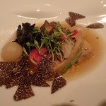 ジョンティ アッシュ - 