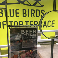 BLUE BIRDS ROOF TOP TERRACE - 