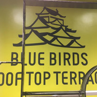 BLUE BIRDS ROOF TOP TERRACE - 
