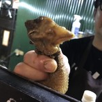 大衆中遊華食堂 八戒 - 今日はありがとうございました！