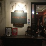 mango tree - 