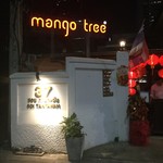 mango tree - 