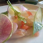 アズーロ - 本日のカルパッチョ